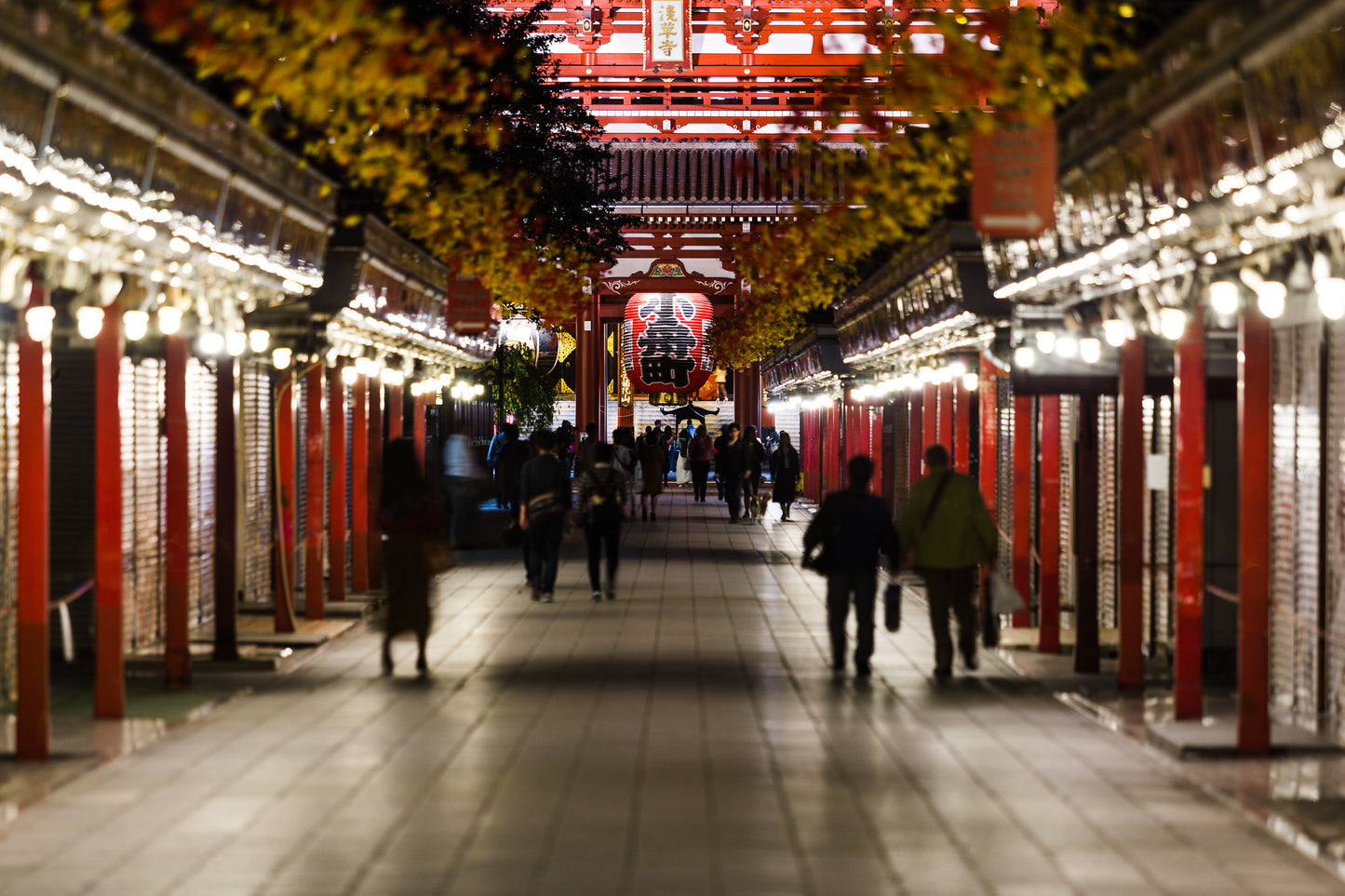 Japan Travel Tour 303