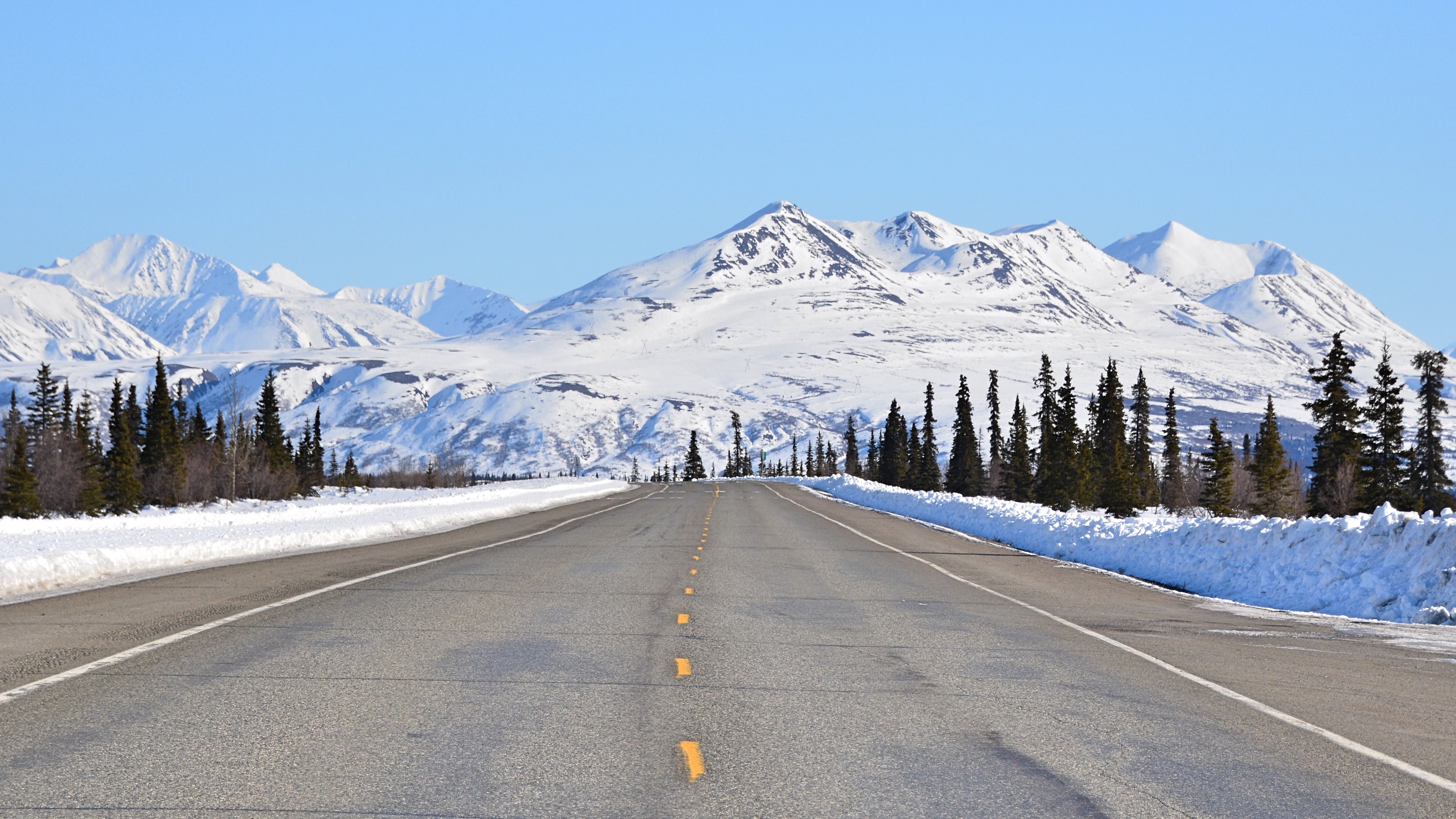 Full-day glacier and wildlife tour