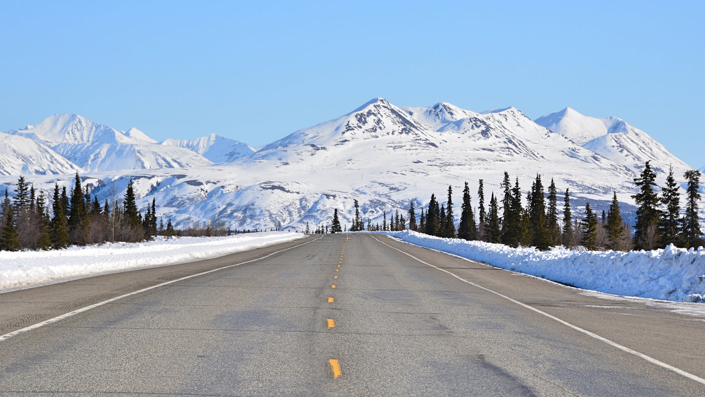 Full-day glacier and wildlife tour