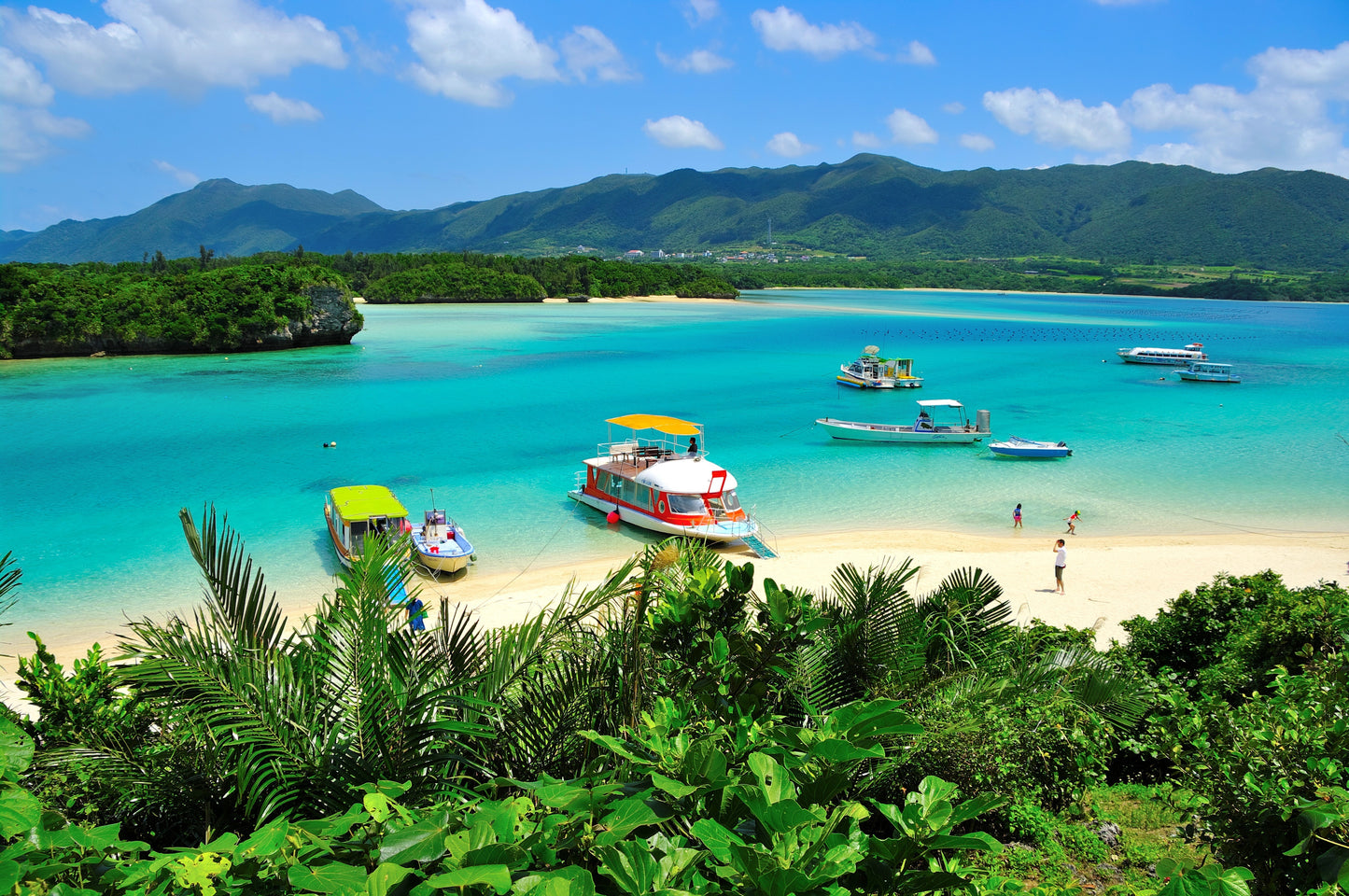 Japan Travel Tour 303