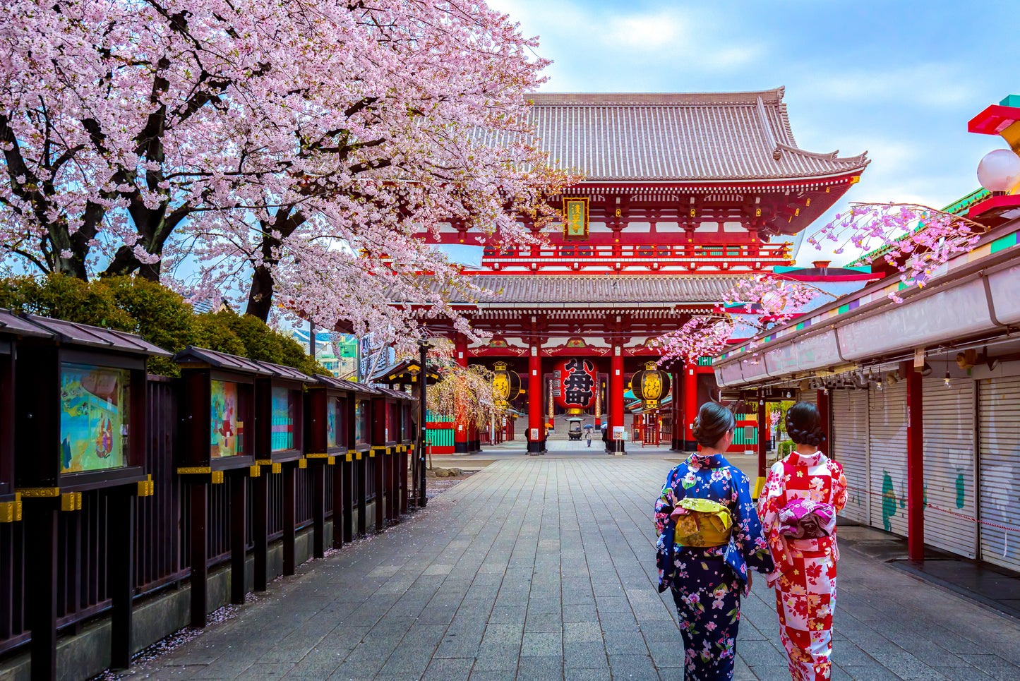 Japan Travel Tour 303