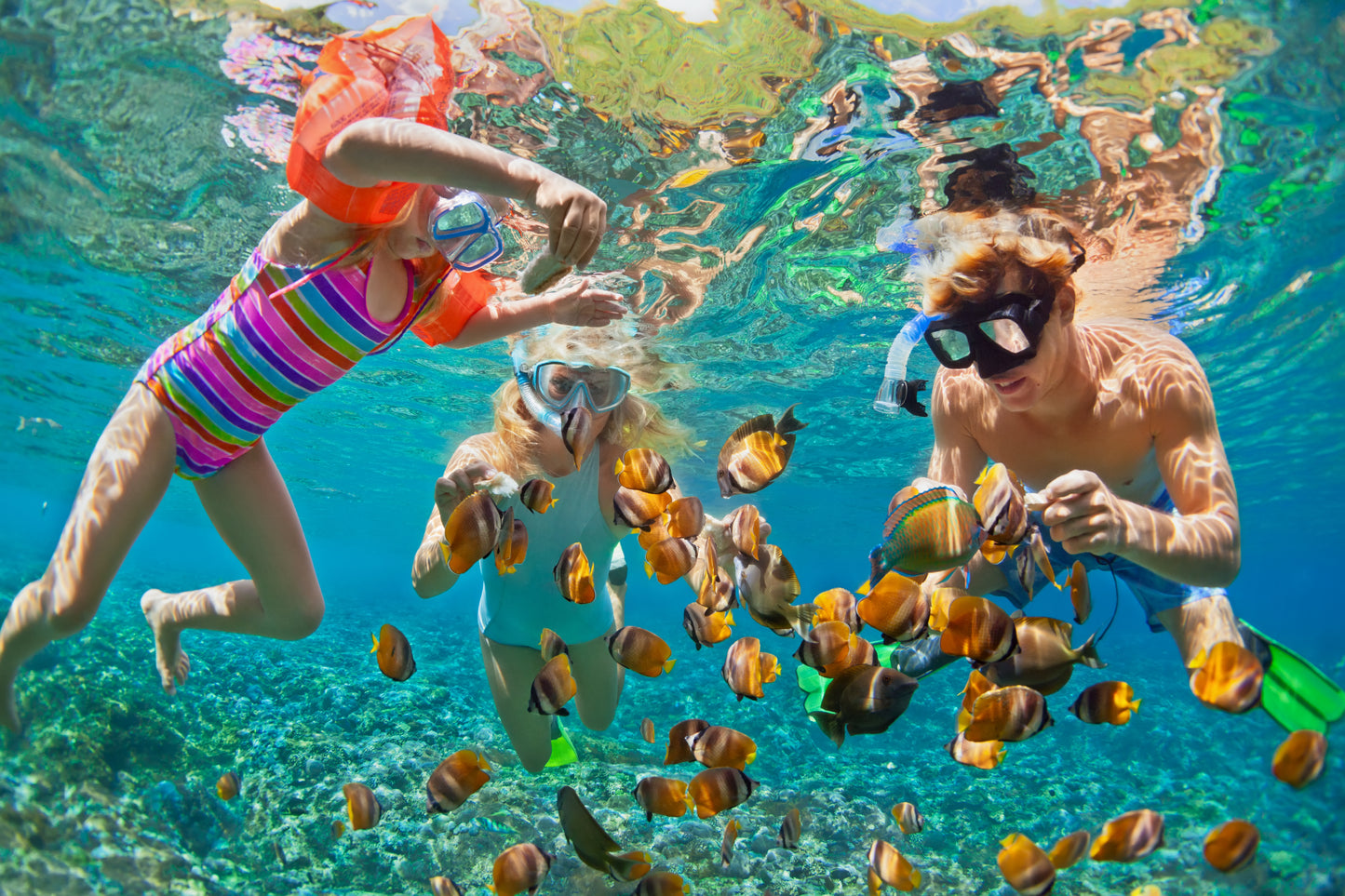 The Bahamas Travel Tour 593