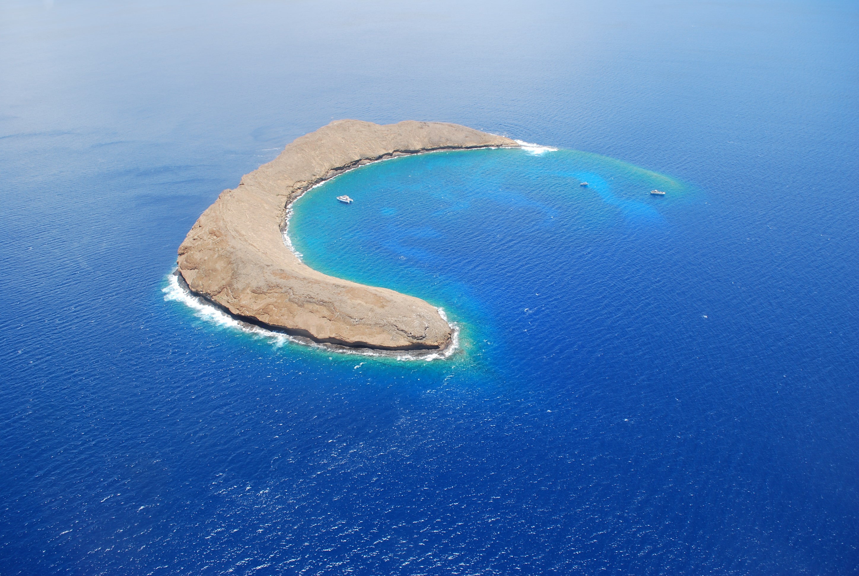 Snorkeling Molokini