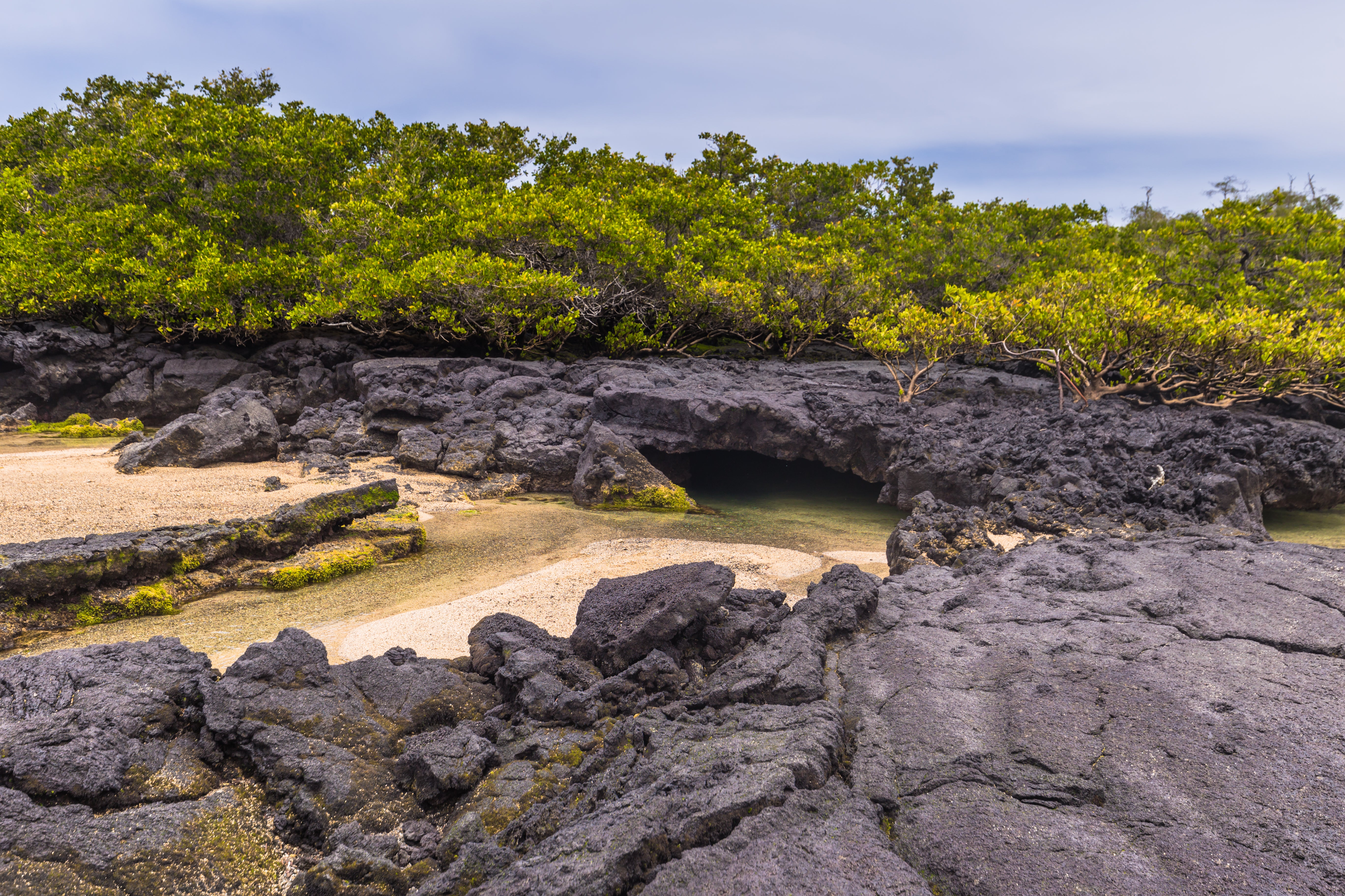 Easter Island and Galapagos Tour 615