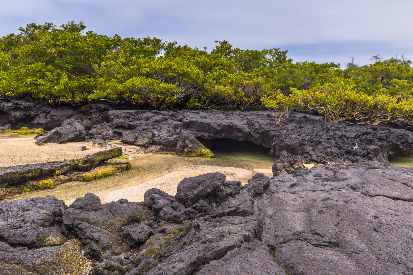 Easter Island and Galapagos Tour 615