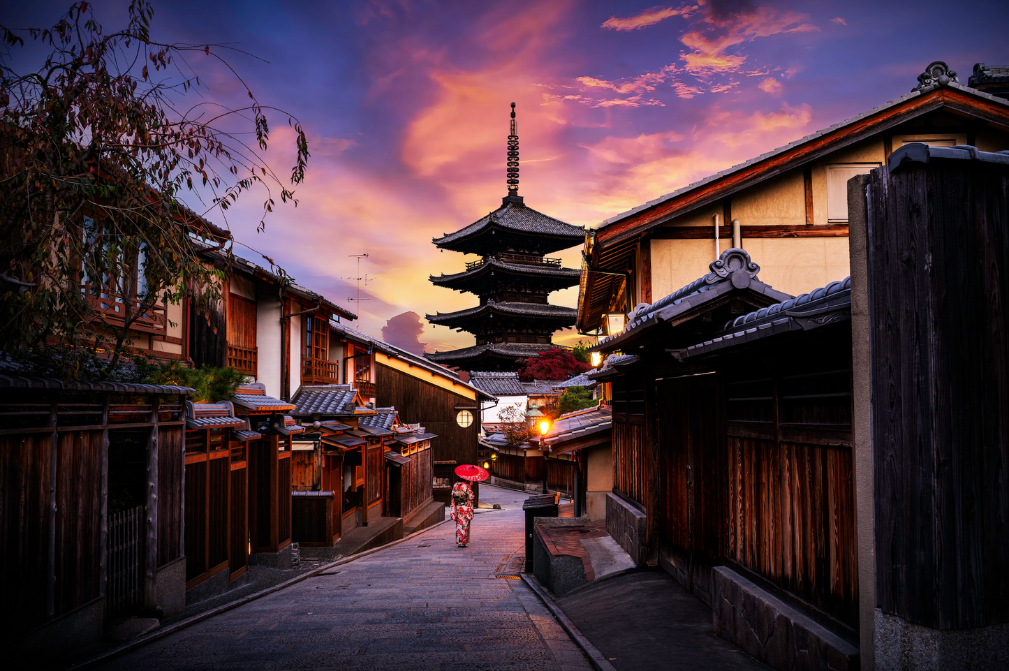 1 Full Day Kyoto Tour