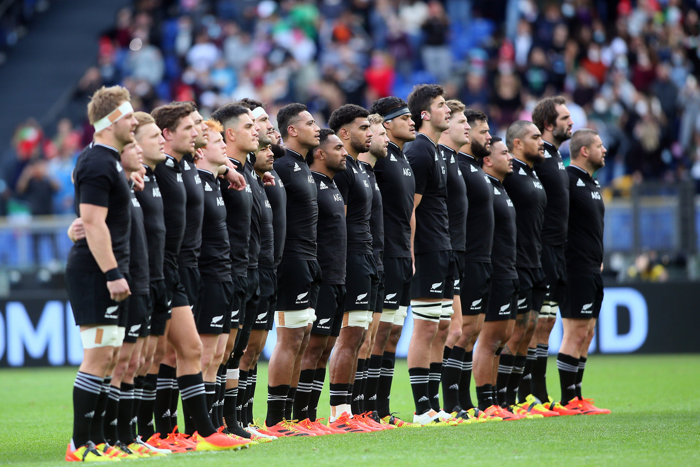 Optional All Black Experience Auckland Tour