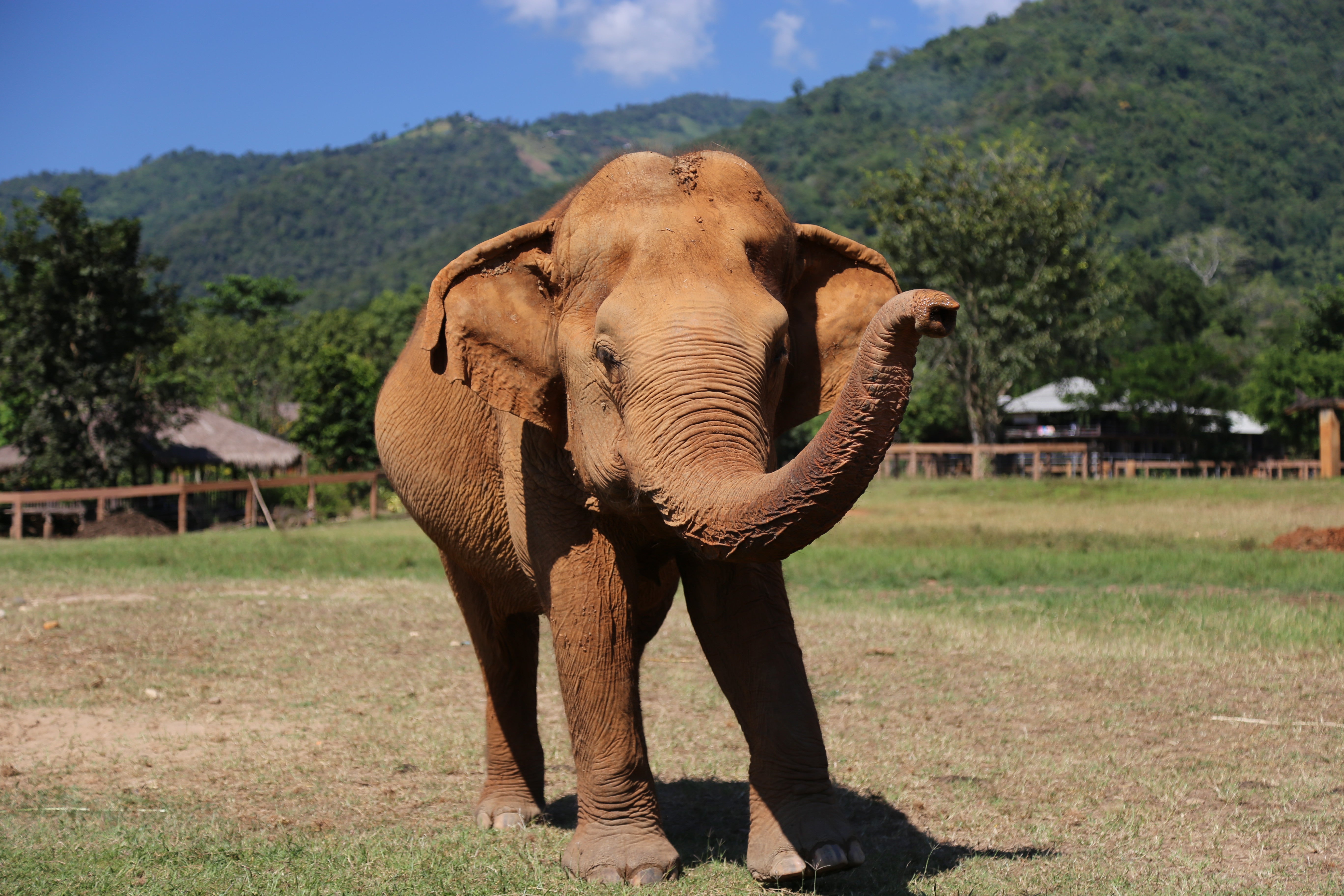  Optional Animal Sanctuary Tour