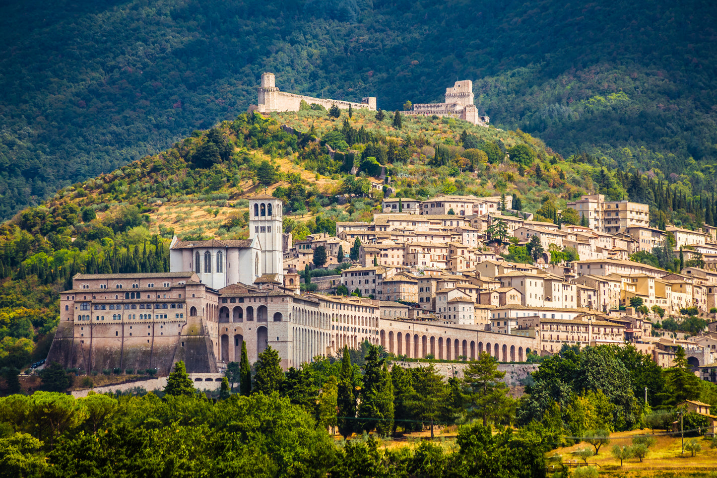 Assisi - Italy