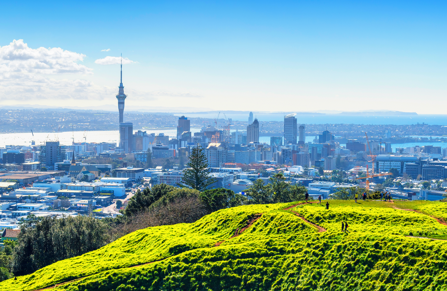 Auckland City Tour