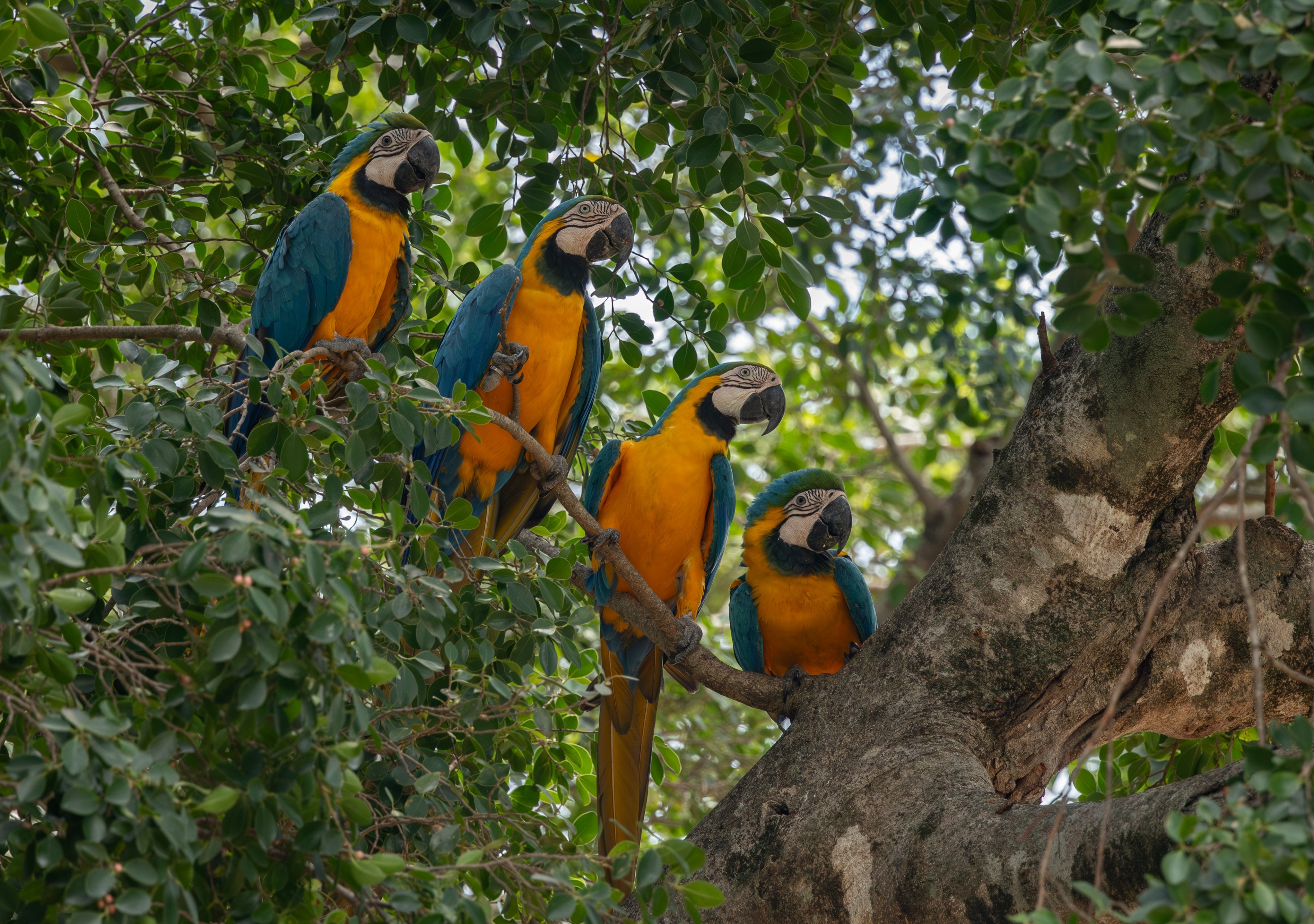 Bird watching tour