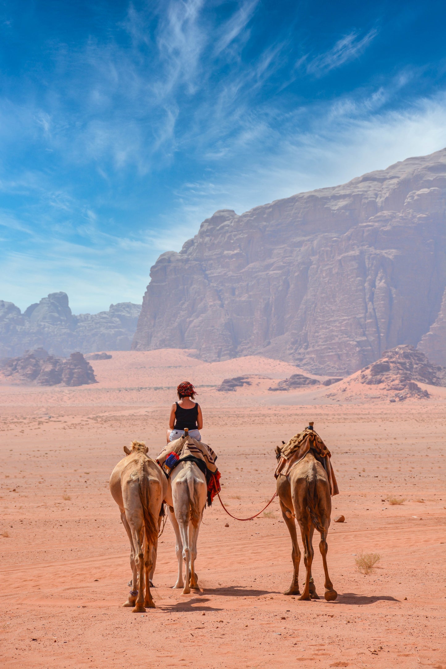 Camel Ride
