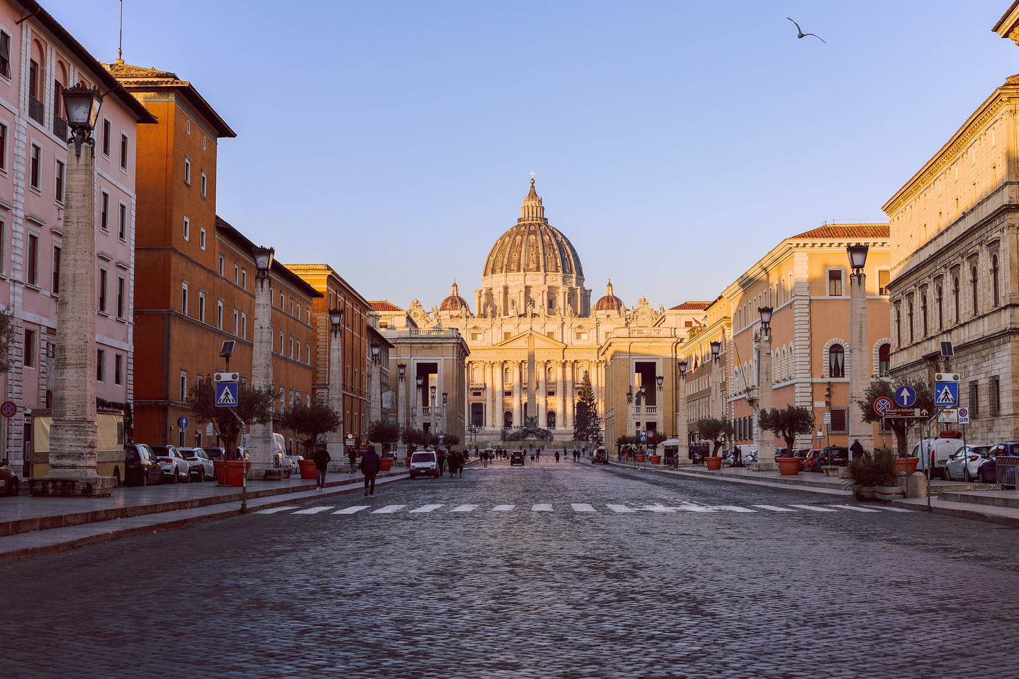 Colosseum and Vatican City Visit