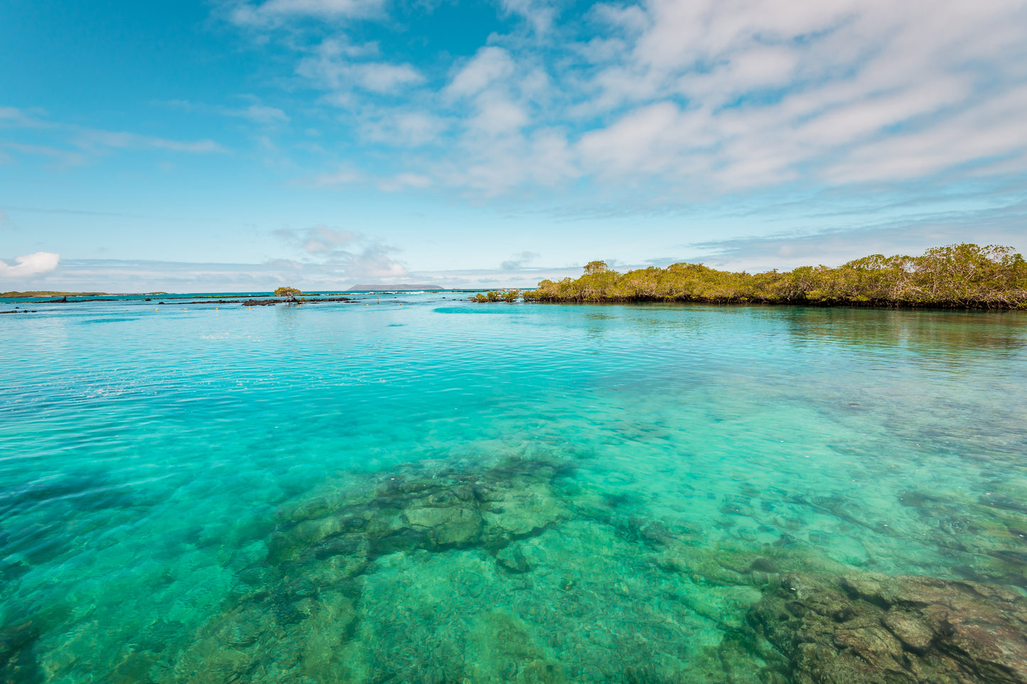 Snorkeling Tour
