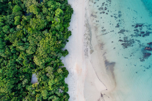 Daintree National Park