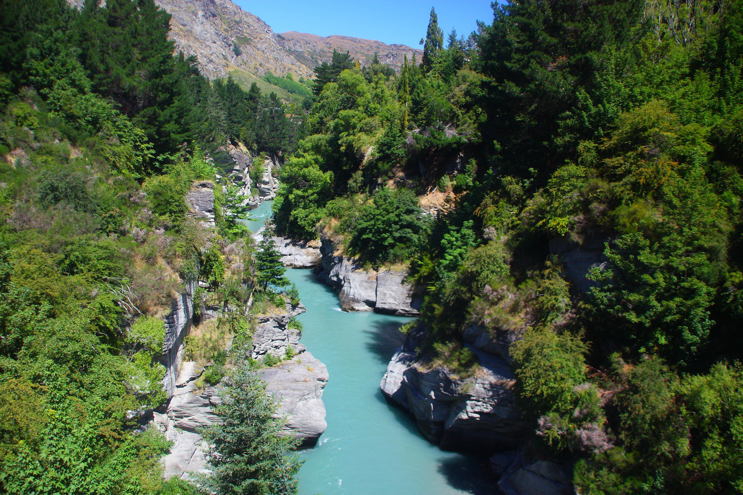 Optional Dart River Jeboat Tour