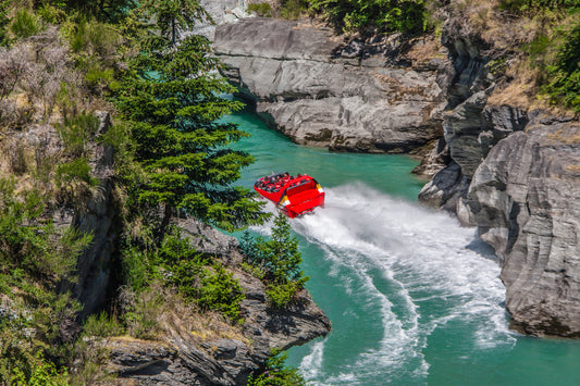 Dart River Jetboat Tour