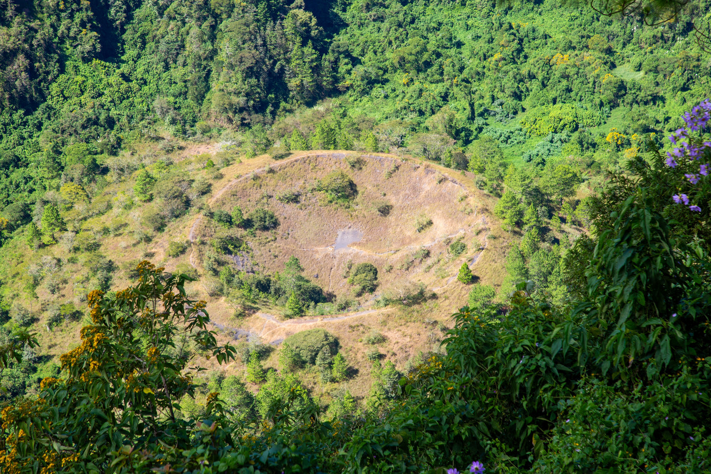 El Boquerón and City Tour