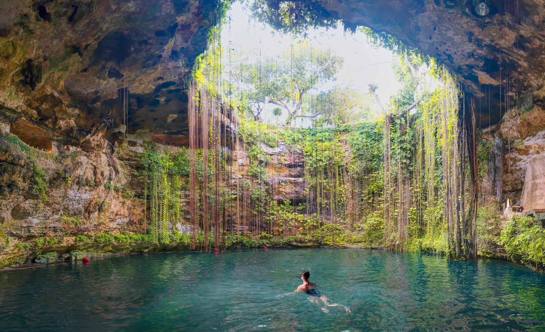 Full Day Chichén Itzá and Selva Maya Visit 