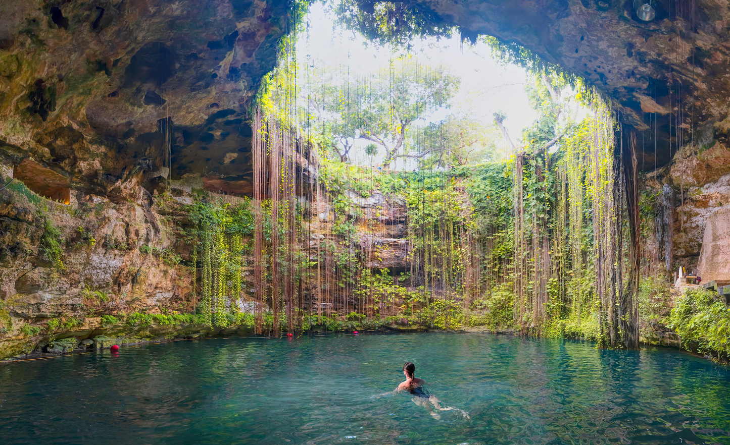 Full Day Chichén Itzá and Selva Maya Visit 