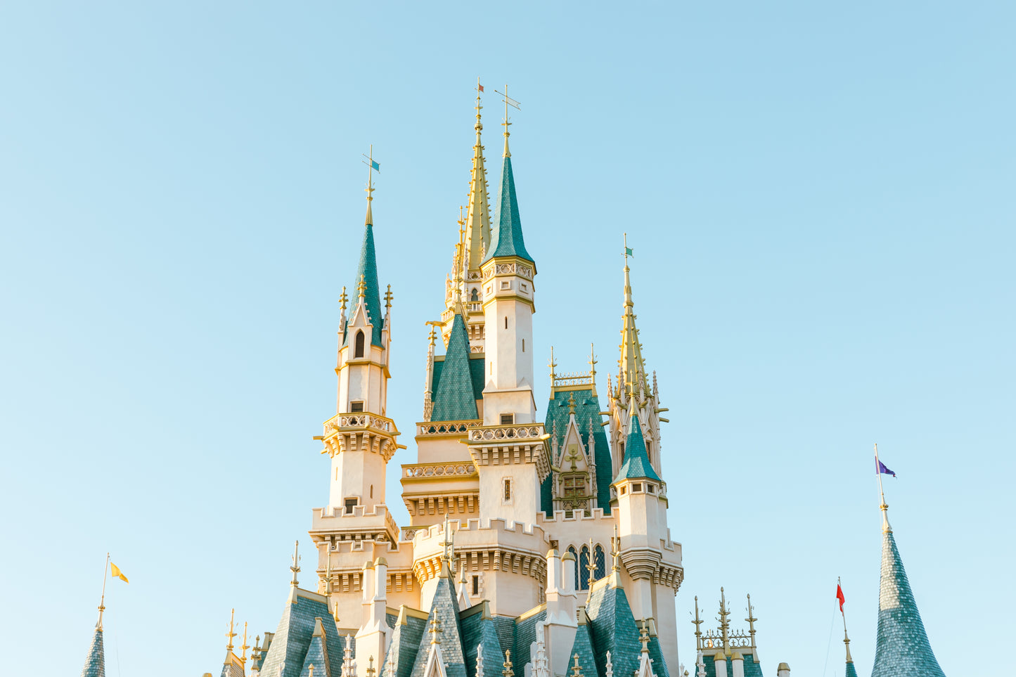 Full Day Disneyland 