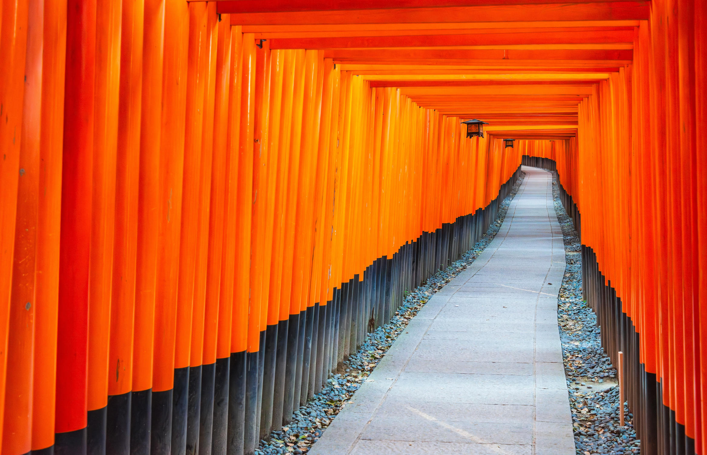 Fushimi Inari-Taisha Shrine Visit