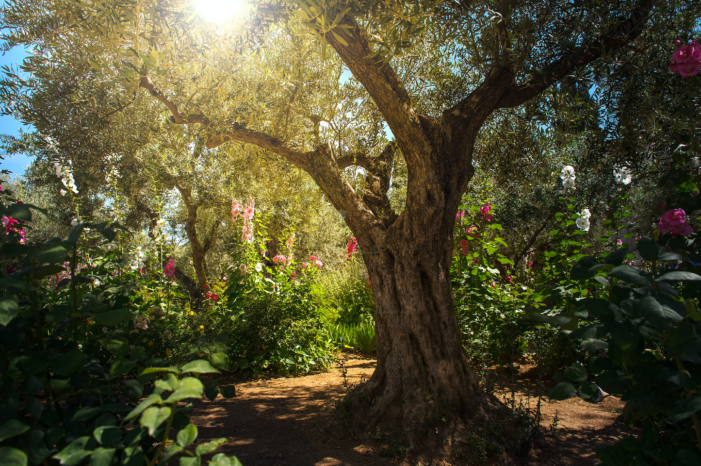 Gethsemane