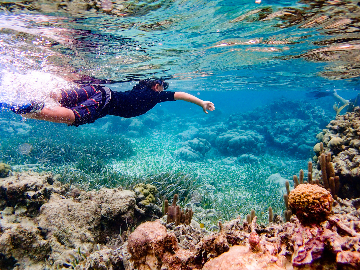 Optional Goffs Caye Snorkeling Tour
