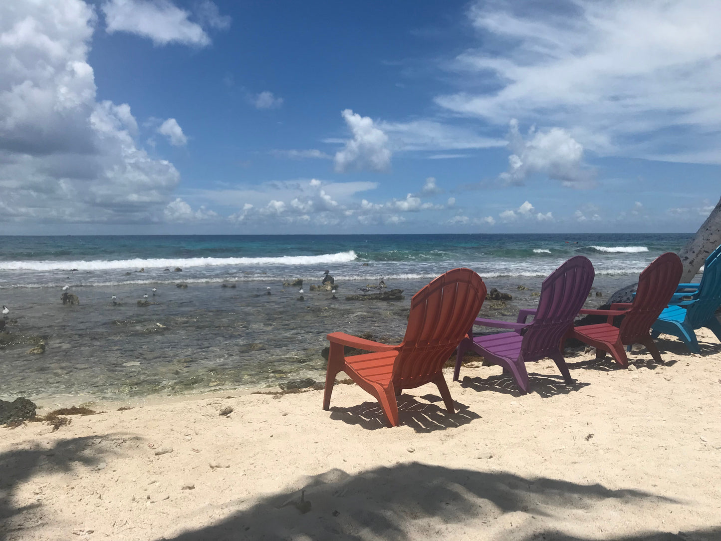 Optional Goffs Caye Snorkeling Tour