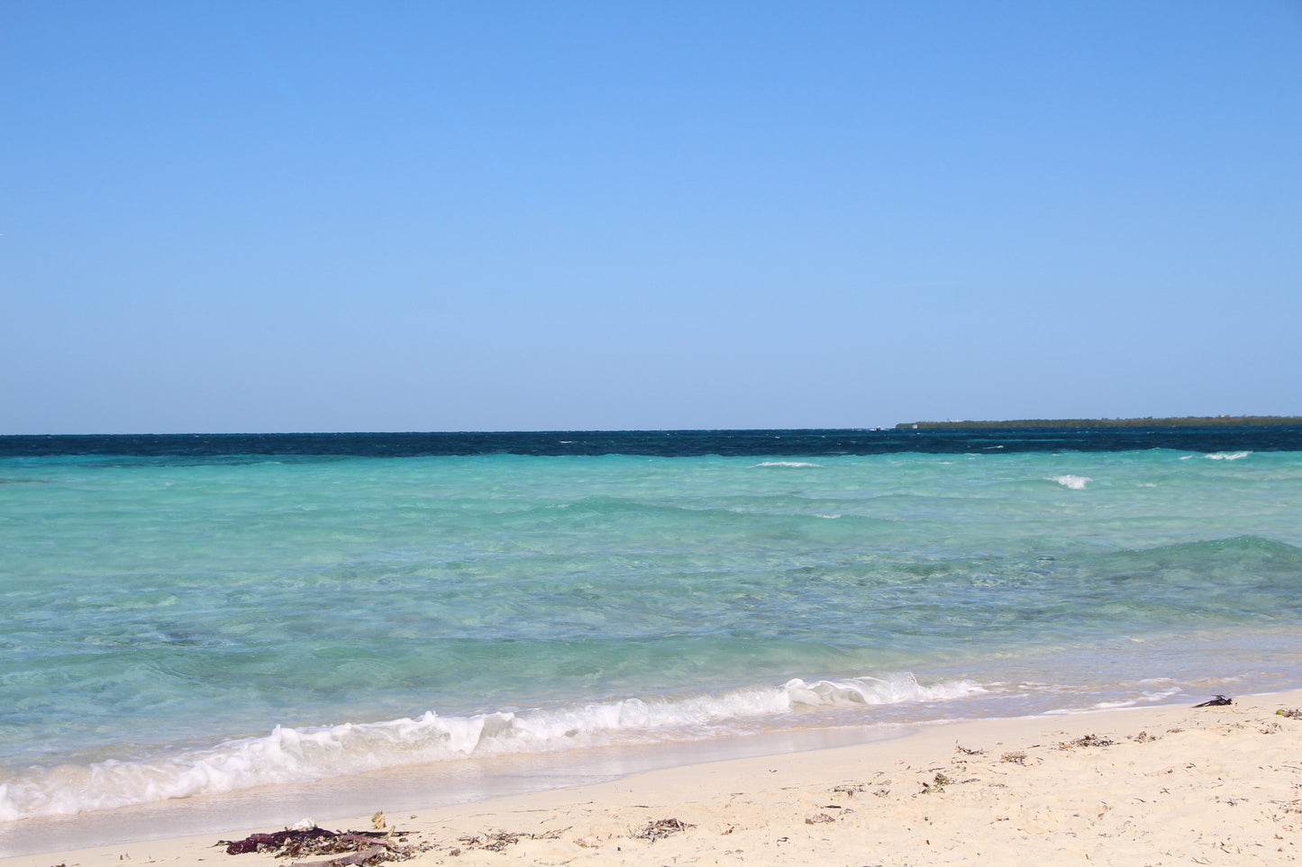 Optional Goffs Caye Snorkeling Tour