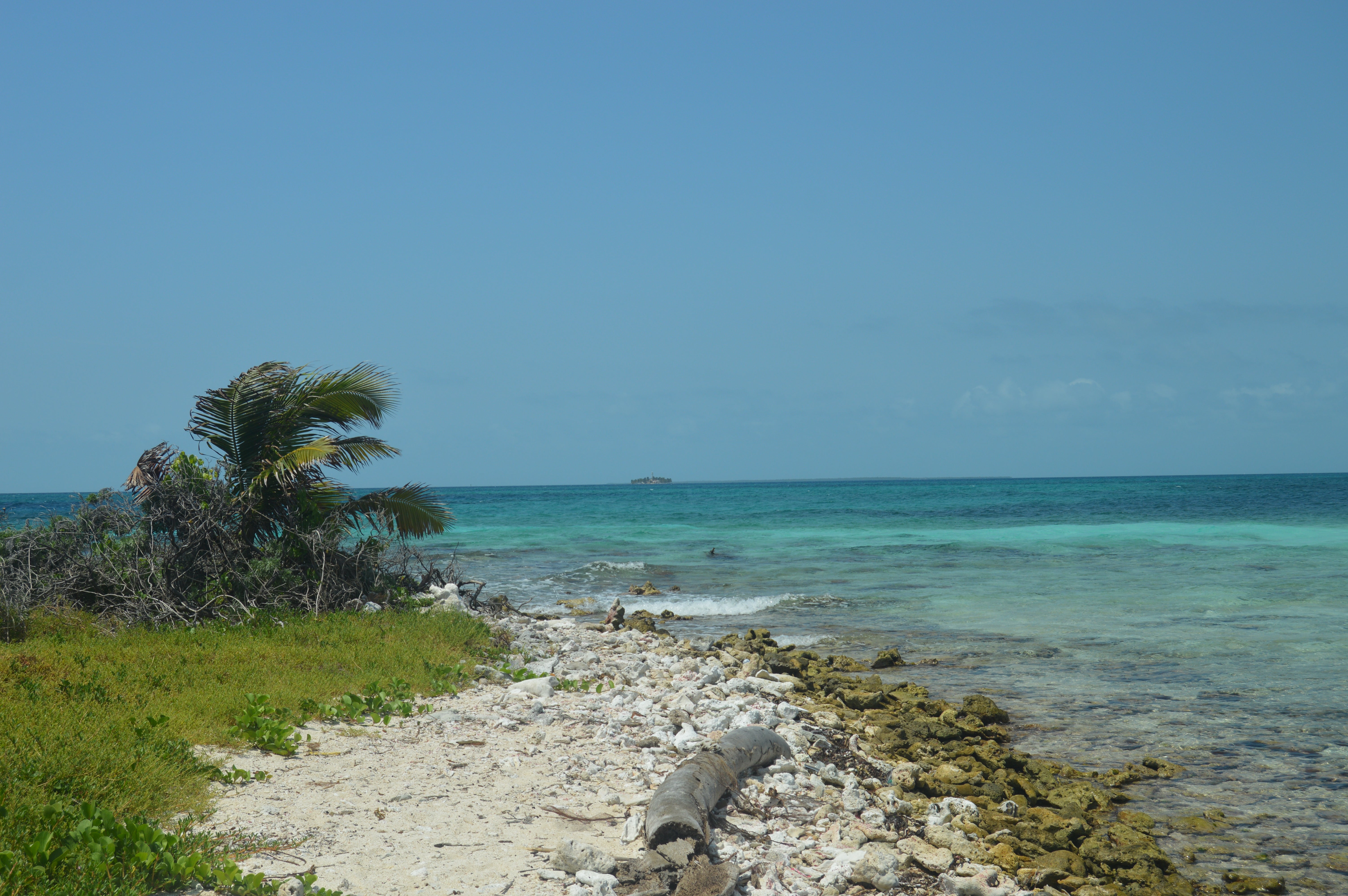 Optional Goffs Caye Snorkeling Tour