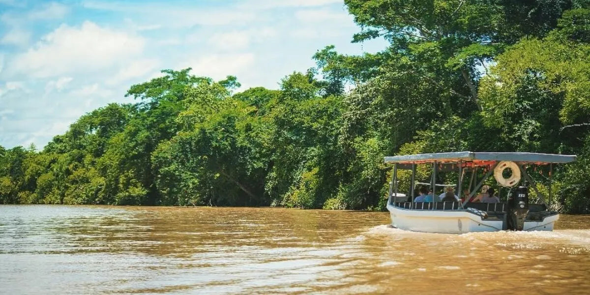 Optional Wetlands Tour