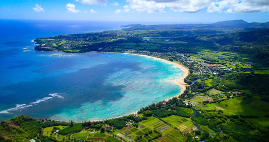 Recommended activity: Hanalei Beach and Hanalei Valley Lookout