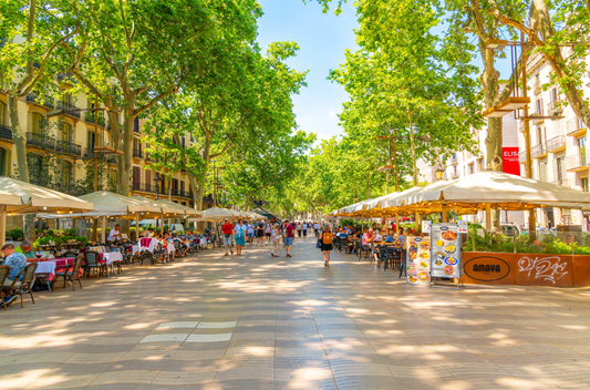 Historic Barcelona and Tapas Tour