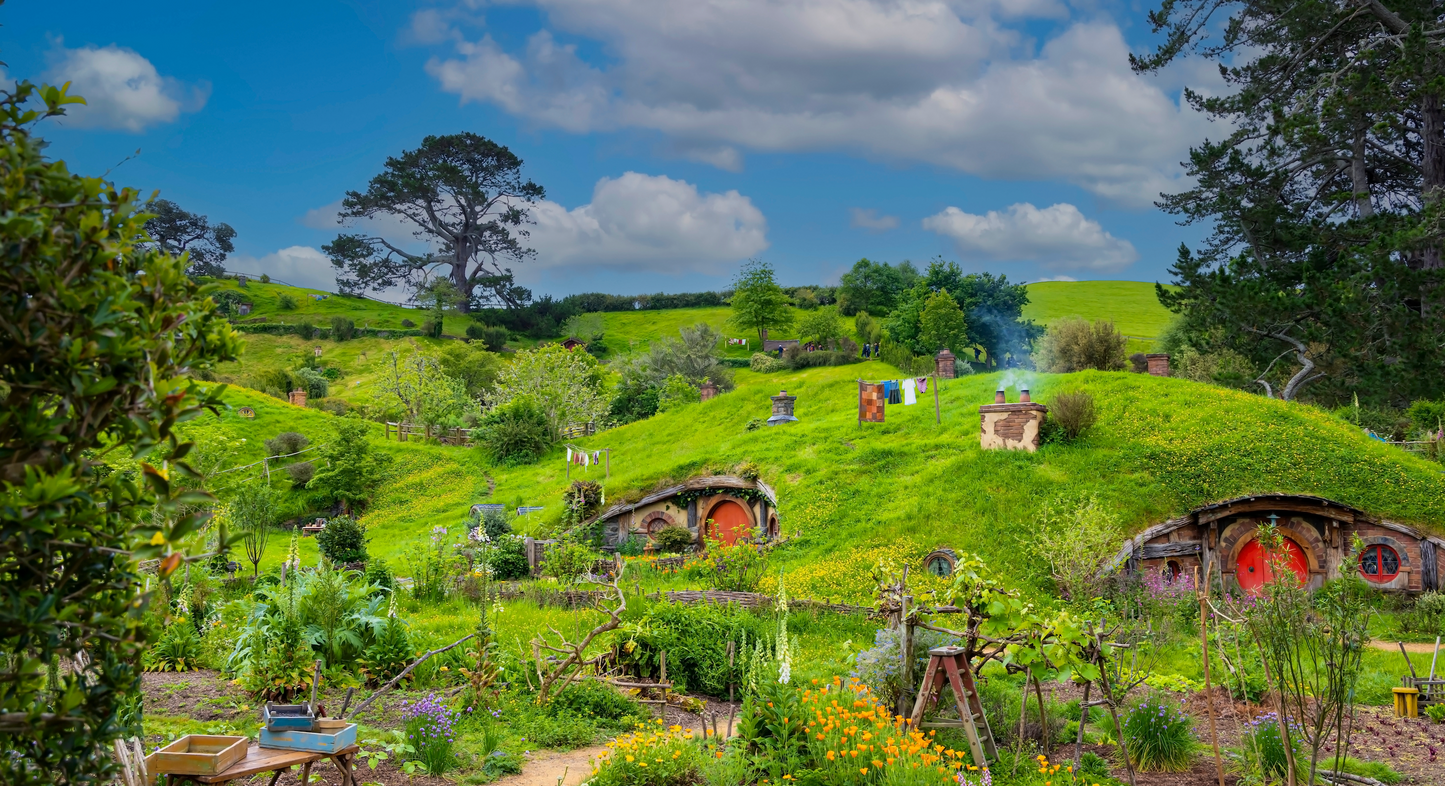 Hawaii, Australia and New Zealand Travel Tour 688