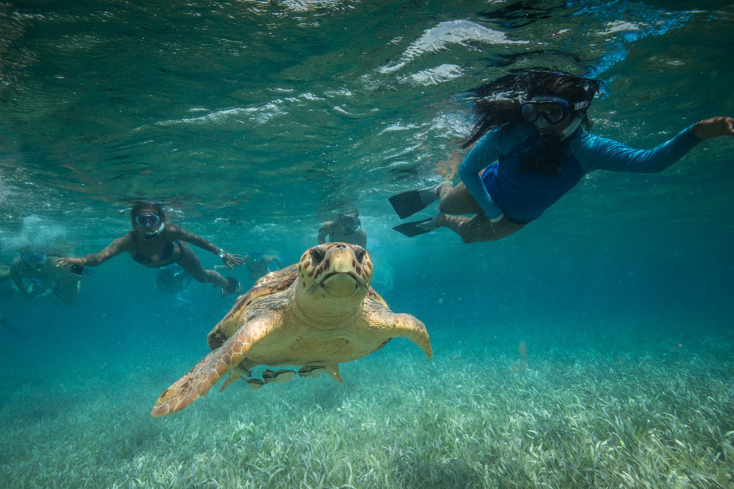 Optional Hol Chan Marine Tour