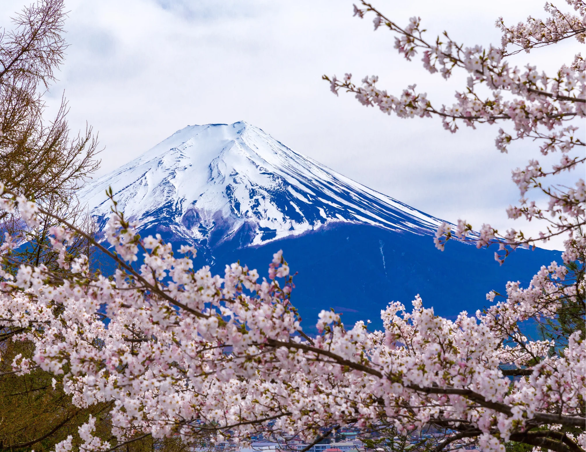 Mount Fuji Optional Tour