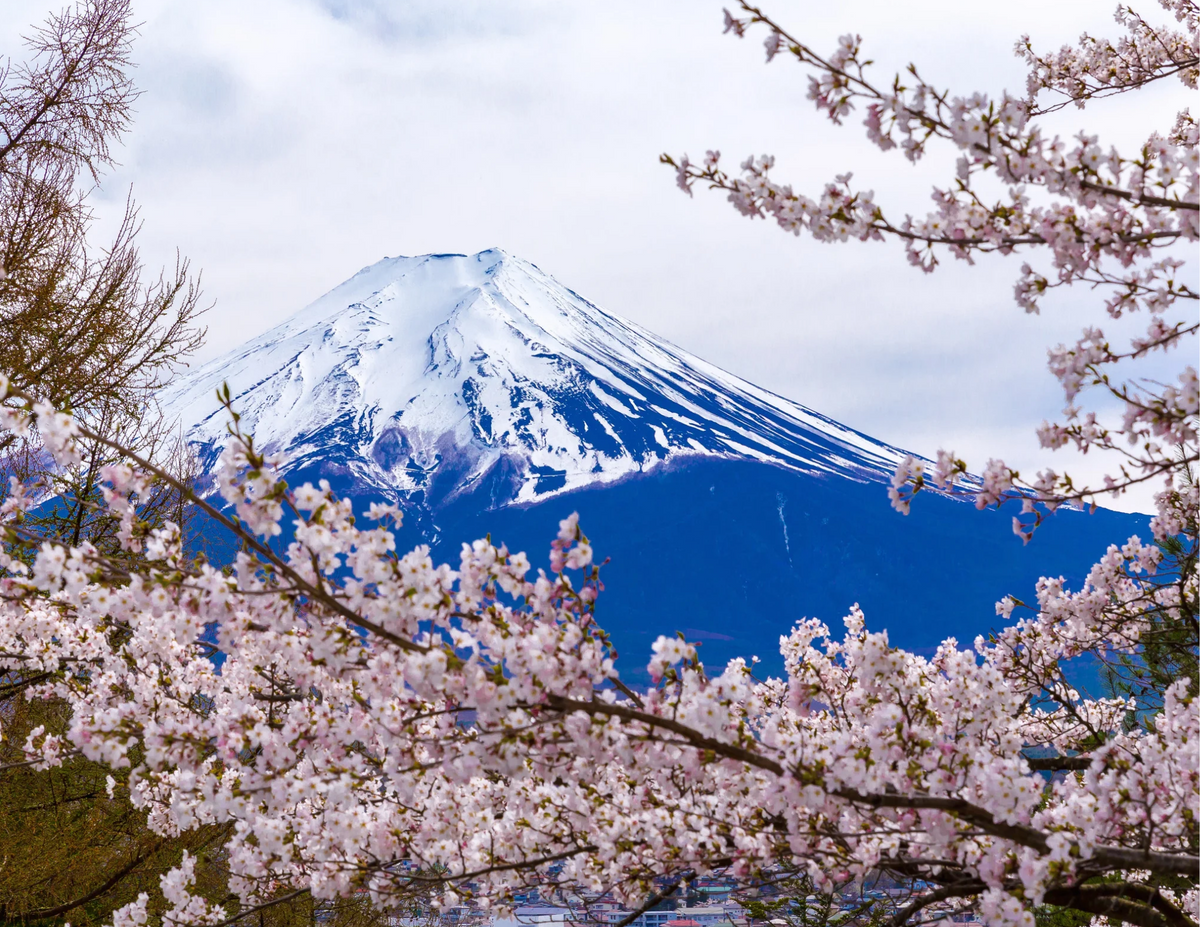 Mount Fuji Optional Tour