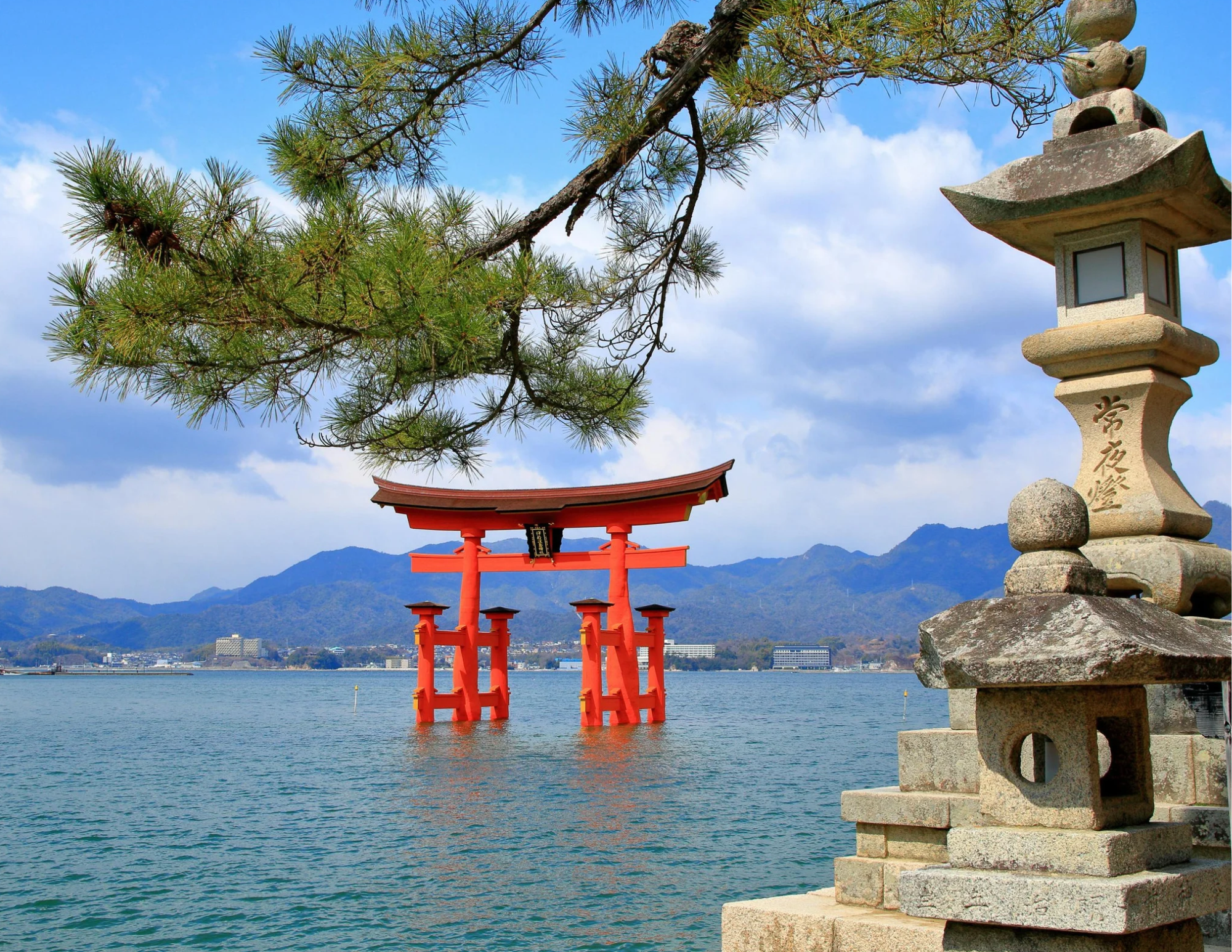 Japan Travel Tour 746