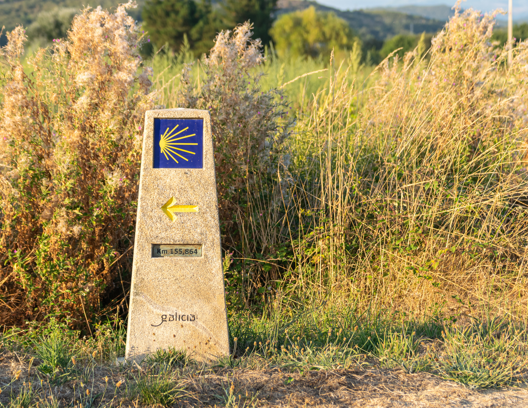 Spain and Portugal Pilgrimage with Pope 642