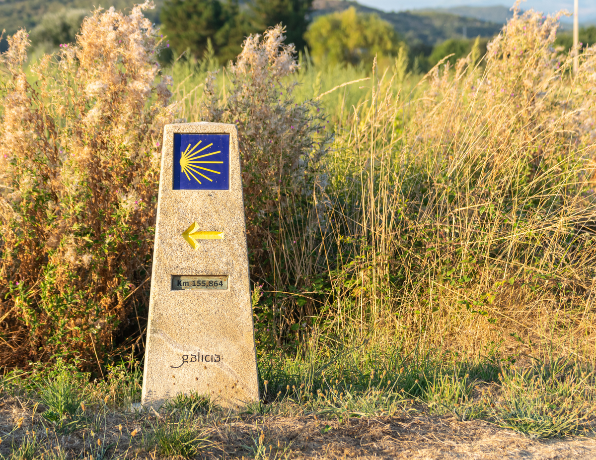 Spain and Portugal Pilgrimage with Pope 642