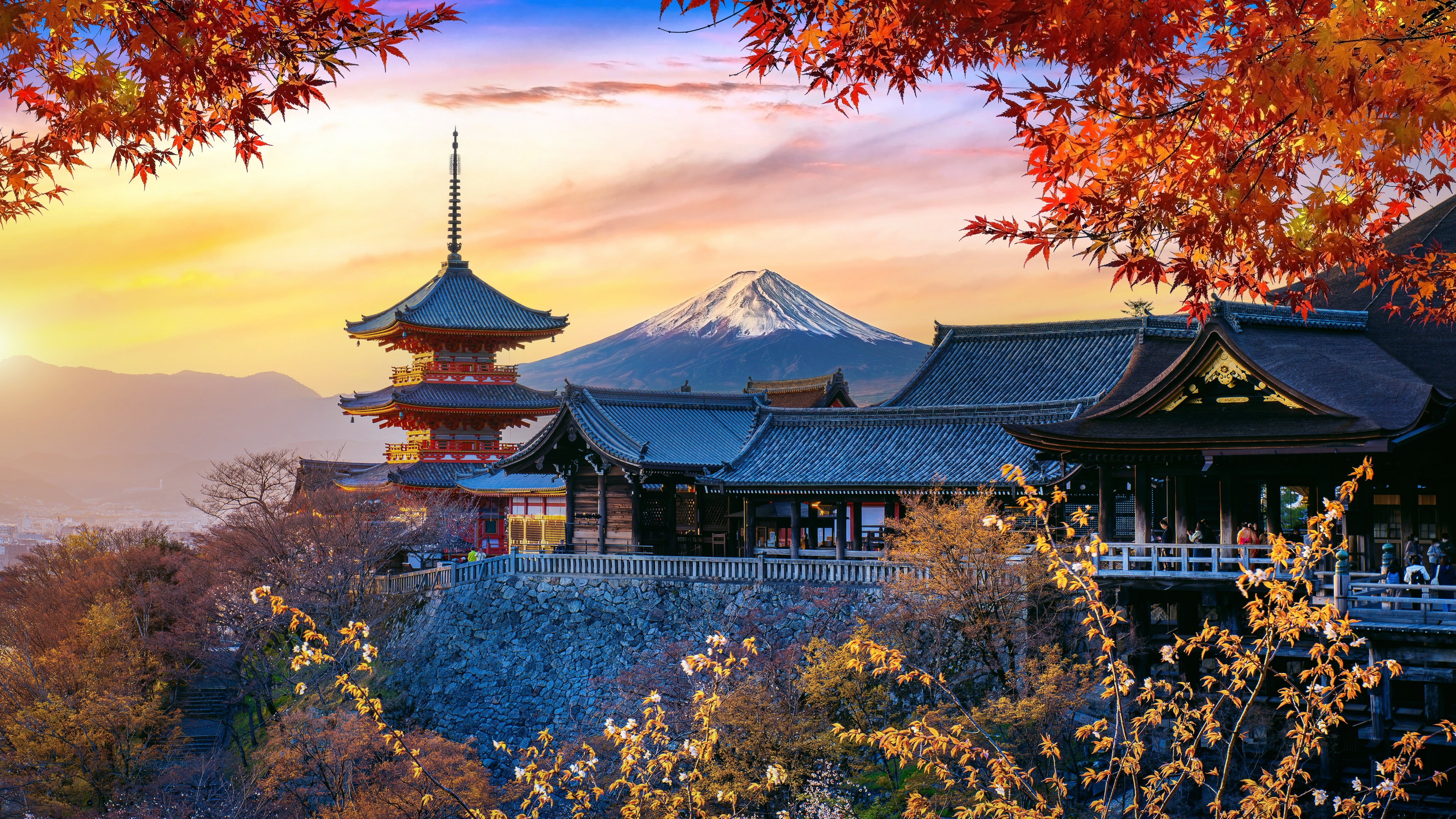 Japan Travel Tour 629