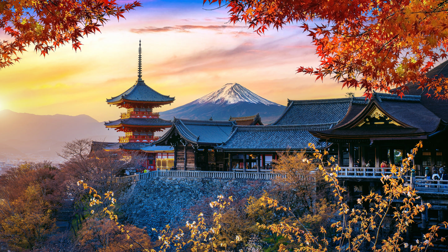 Japan Travel Tour 629