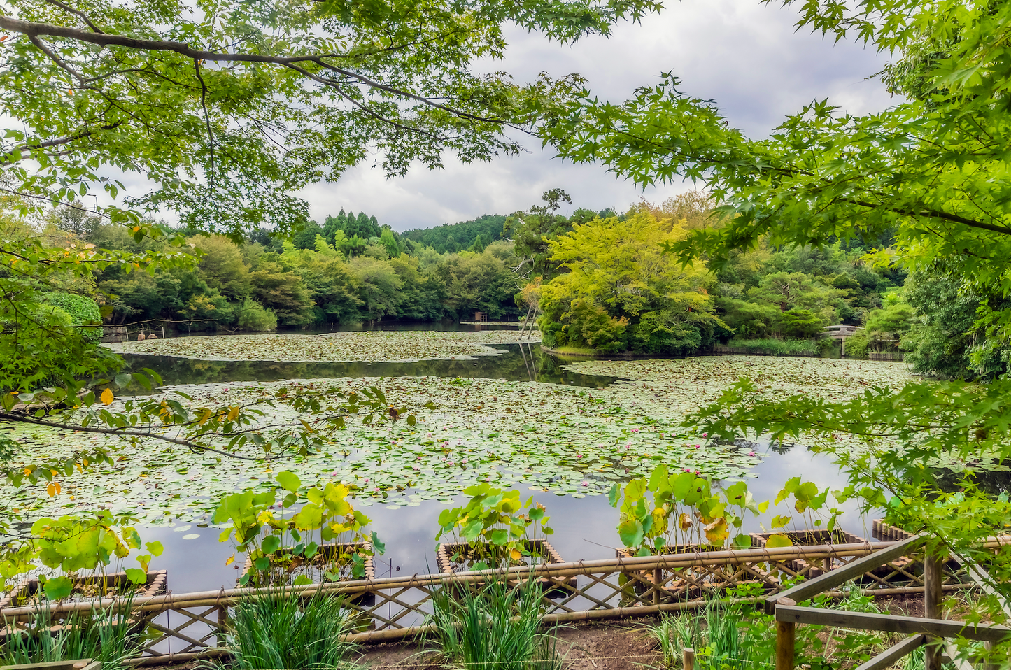 Japan and South Korea Travel Tour 689