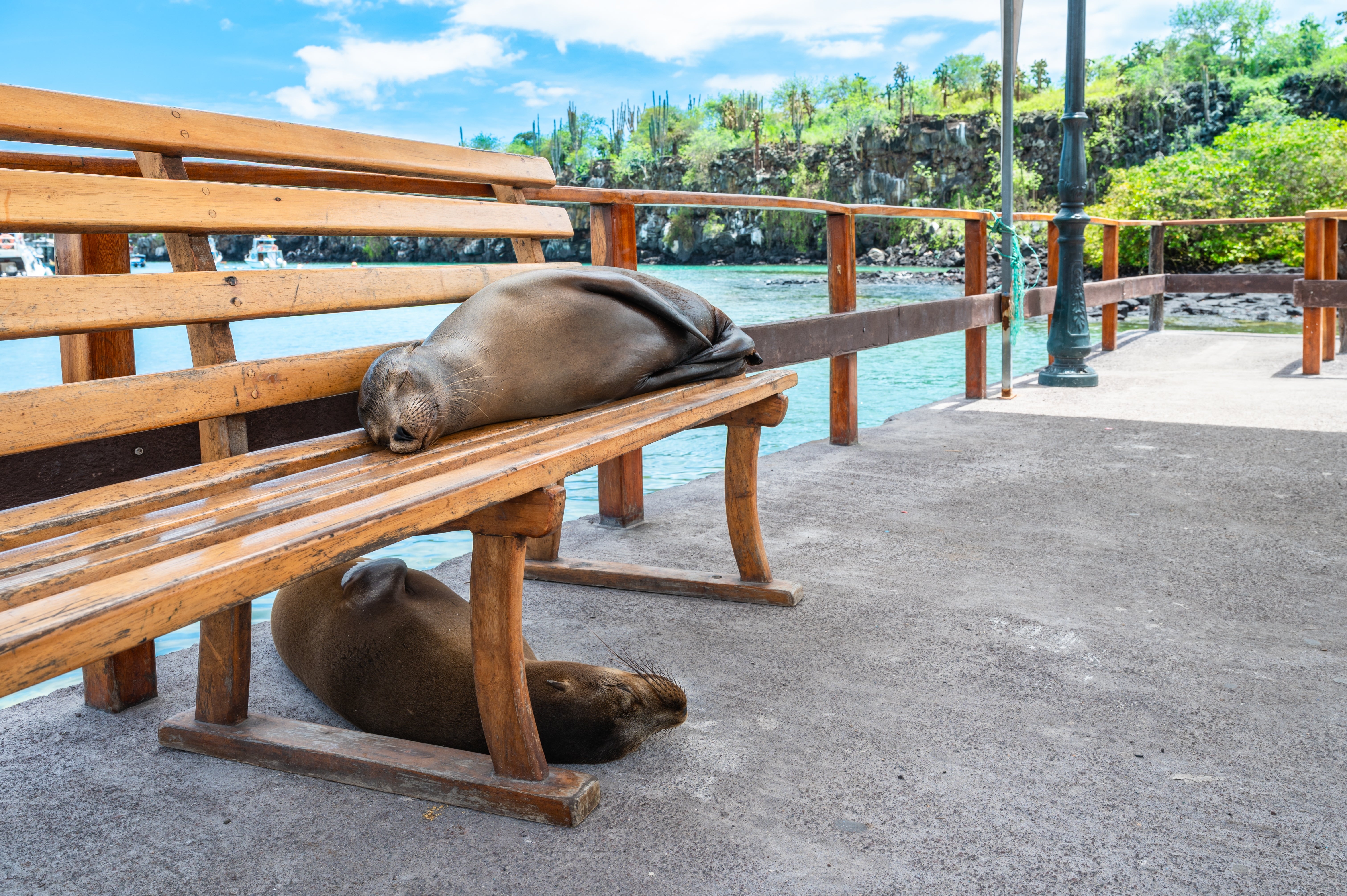 Los Tuneles and Cabo Rosa Tour