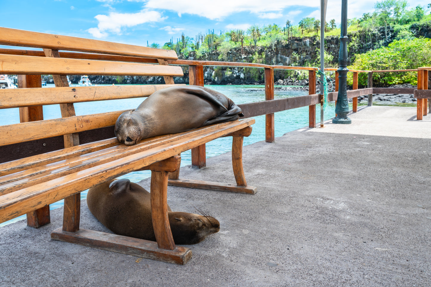 Los Tuneles and Cabo Rosa Tour