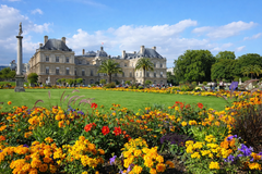 Optional Emily in Paris Tour