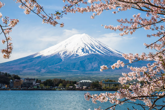 Visit Mount Fuji