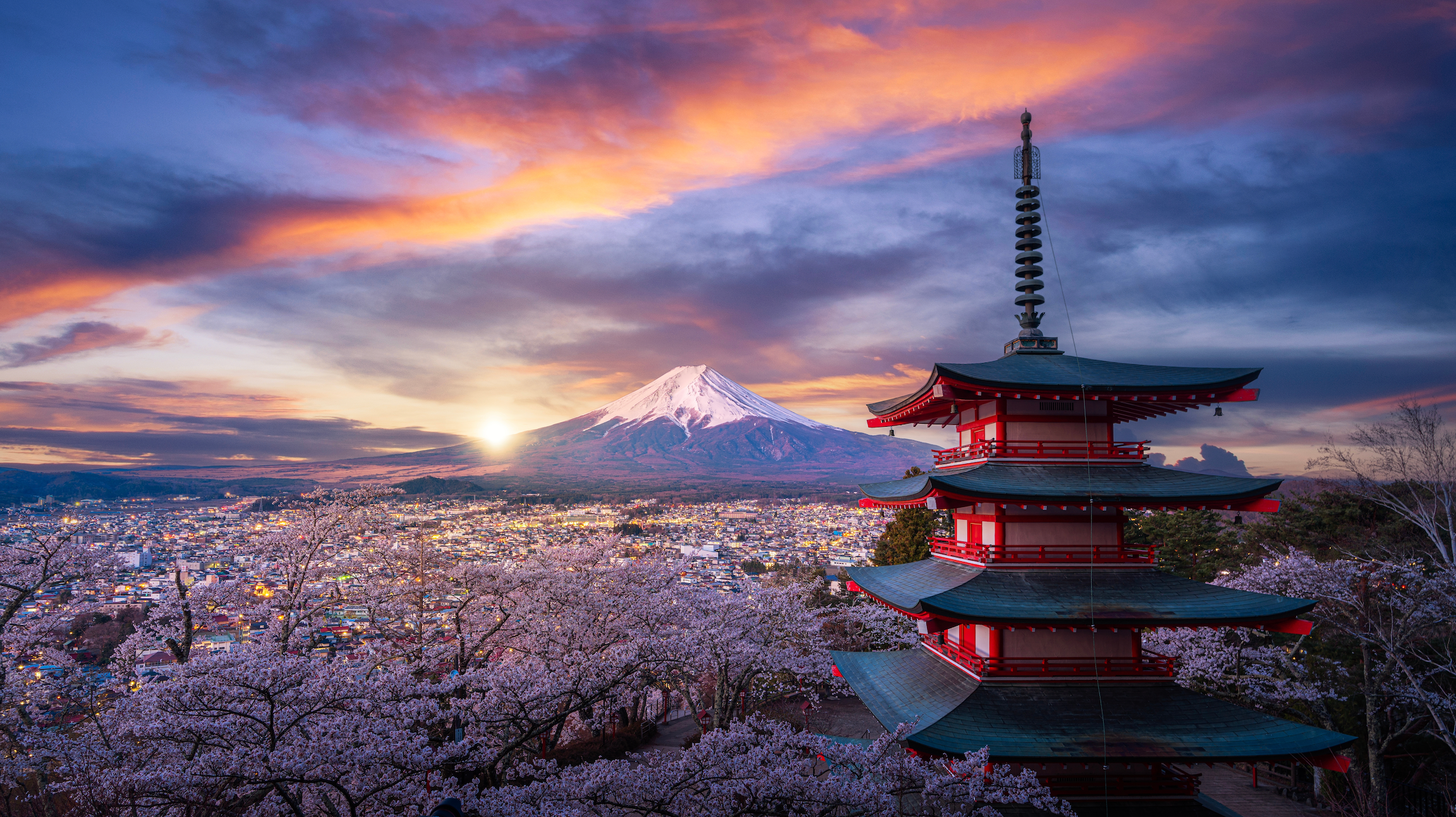 Optional Mount Fuji Tour