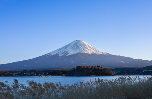 Optional Mount Fuji Tour